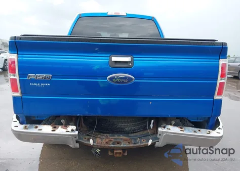 2009 Ford F-150 Fx4/King Ranch/Lariat/Platinum/Xl/Xlt z USA, uszkodzony, nr VIN 1FTPW14V49FB13310